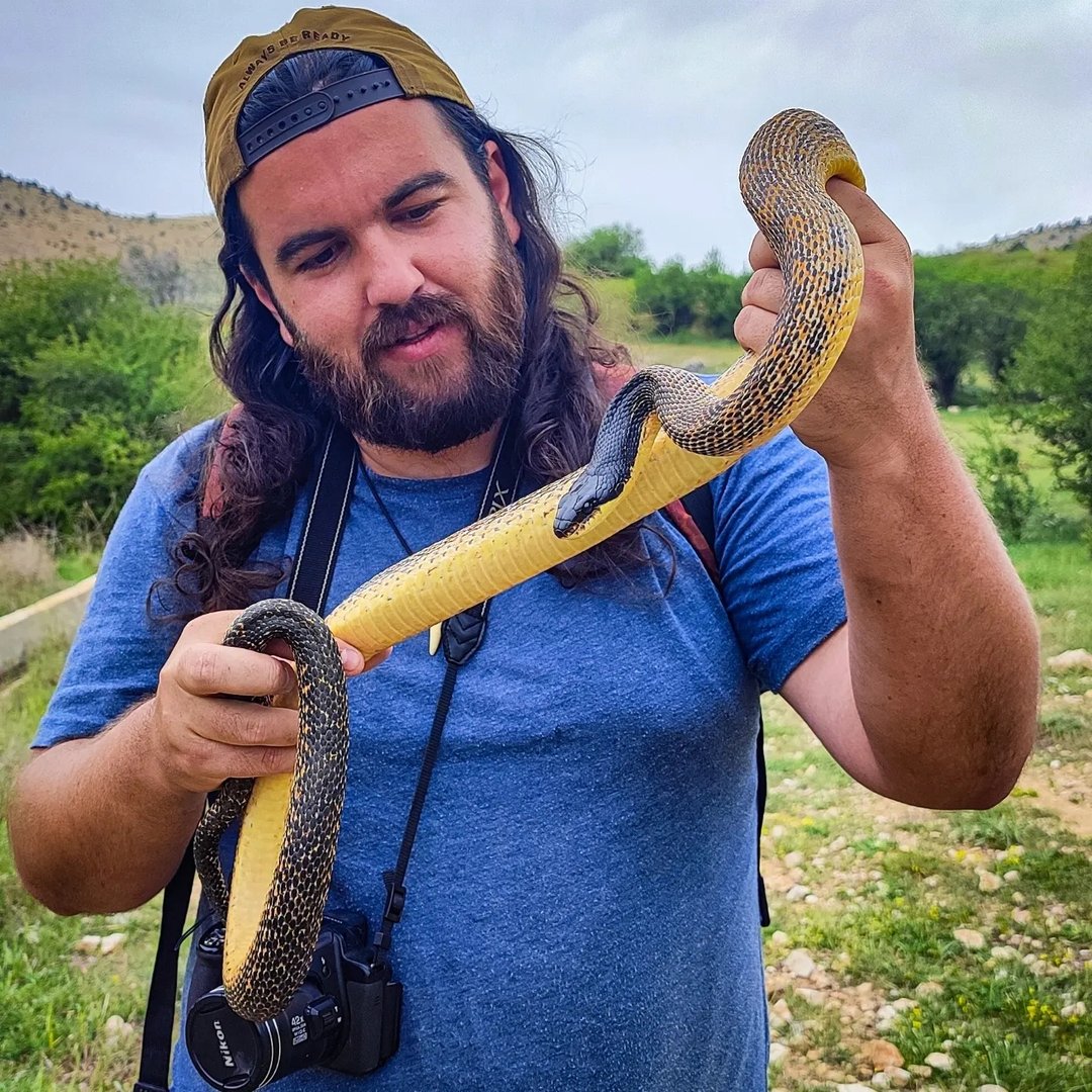 Herping Lebanon